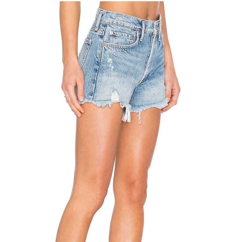 AGOLDE Parker Vintage Shorts in Swapmeet